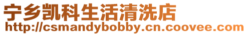 寧鄉凱科生活清洗店