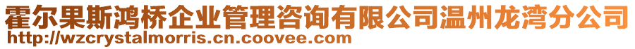 霍爾果斯鴻橋企業(yè)管理咨詢有限公司溫州龍灣分公司