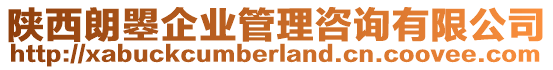 陜西朗曌企業(yè)管理咨詢有限公司