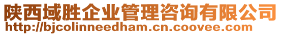 陜西域勝企業(yè)管理咨詢有限公司