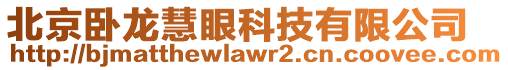 北京臥龍慧眼科技有限公司