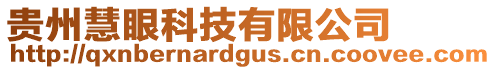貴州慧眼科技有限公司