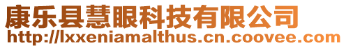 康樂縣慧眼科技有限公司
