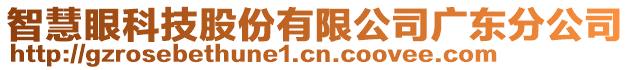 智慧眼科技股份有限公司廣東分公司