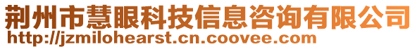 荊州市慧眼科技信息咨詢有限公司