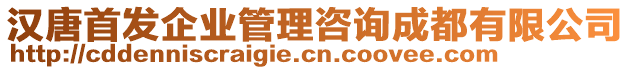 漢唐首發(fā)企業(yè)管理咨詢成都有限公司