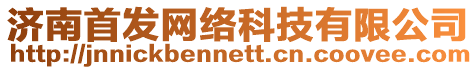 濟(jì)南首發(fā)網(wǎng)絡(luò)科技有限公司