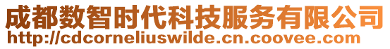成都數(shù)智時代科技服務(wù)有限公司