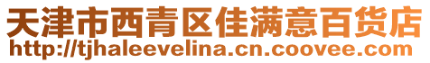 天津市西青區佳滿意百貨店