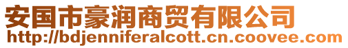 安國市豪潤商貿有限公司
