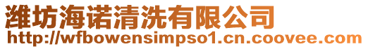 濰坊海諾清洗有限公司
