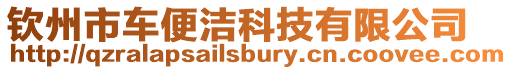 欽州市車便潔科技有限公司