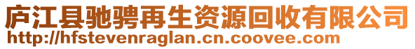 廬江縣馳騁再生資源回收有限公司