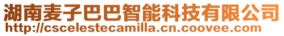 湖南麥子巴巴智能科技有限公司