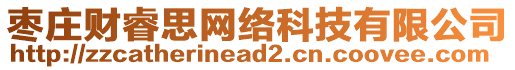 棗莊財(cái)睿思網(wǎng)絡(luò)科技有限公司