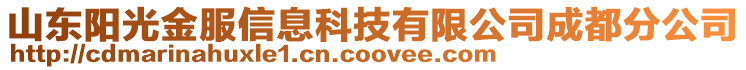 山東陽光金服信息科技有限公司成都分公司