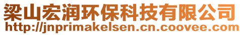 梁山宏润环保科技有限公司