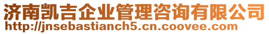 濟南凱吉企業(yè)管理咨詢有限公司