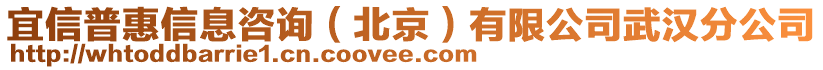 宜信普惠信息咨詢（北京）有限公司武漢分公司