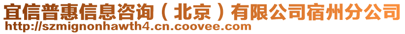 宜信普惠信息咨询（北京）有限公司宿州分公司