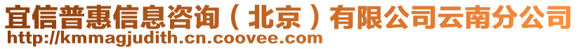 宜信普惠信息咨詢（北京）有限公司云南分公司