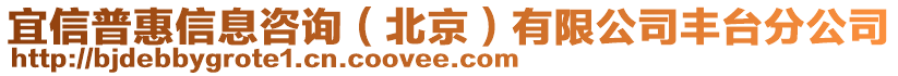 宜信普惠信息咨詢（北京）有限公司豐臺(tái)分公司