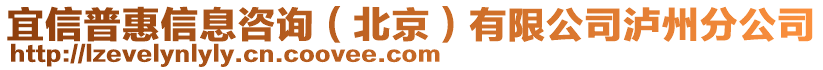 宜信普惠信息咨詢（北京）有限公司瀘州分公司