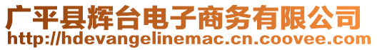 廣平縣輝臺電子商務(wù)有限公司