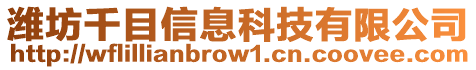 濰坊千目信息科技有限公司