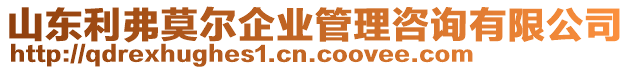 山東利弗莫爾企業管理咨詢有限公司