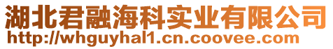 湖北君融海科實業有限公司