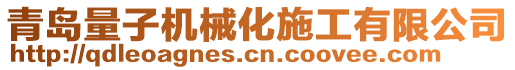 青島量子機(jī)械化施工有限公司