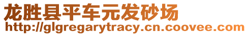 龍勝縣平車元發(fā)砂場