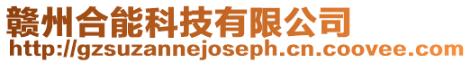 贛州合能科技有限公司