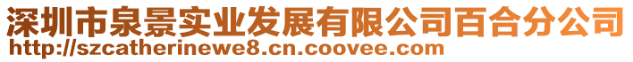 深圳市泉景實業發展有限公司百合分公司