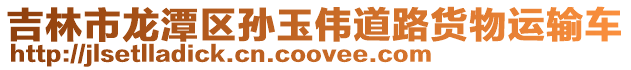 吉林市龍潭區孫玉偉道路貨物運輸車