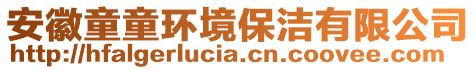 安徽童童環(huán)境保潔有限公司