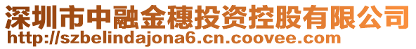 深圳市中融金穗投資控股有限公司