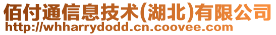 佰付通信息技術(湖北)有限公司