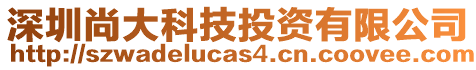 深圳尚大科技投資有限公司