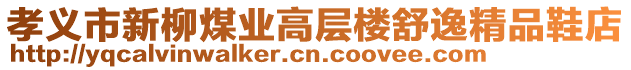 孝義市新柳煤業(yè)高層樓舒逸精品鞋店