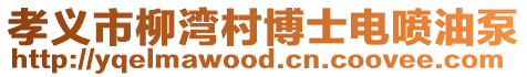 孝義市柳灣村博士電噴油泵