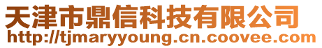 天津市鼎信科技有限公司