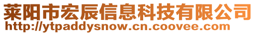 萊陽市宏辰信息科技有限公司