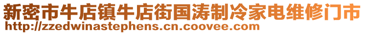 新密市牛店鎮(zhèn)牛店街國濤制冷家電維修門市