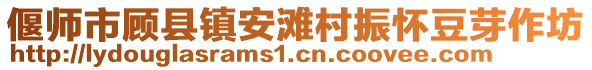 偃師市顧縣鎮(zhèn)安灘村振懷豆芽作坊