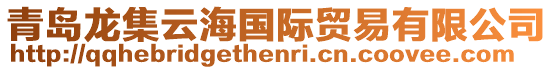 青島龍集云海國際貿(mào)易有限公司