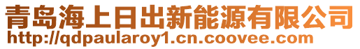 青島海上日出新能源有限公司