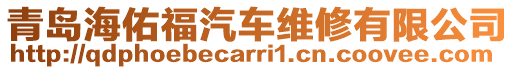 青島海佑福汽車維修有限公司