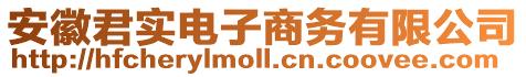 安徽君實(shí)電子商務(wù)有限公司
